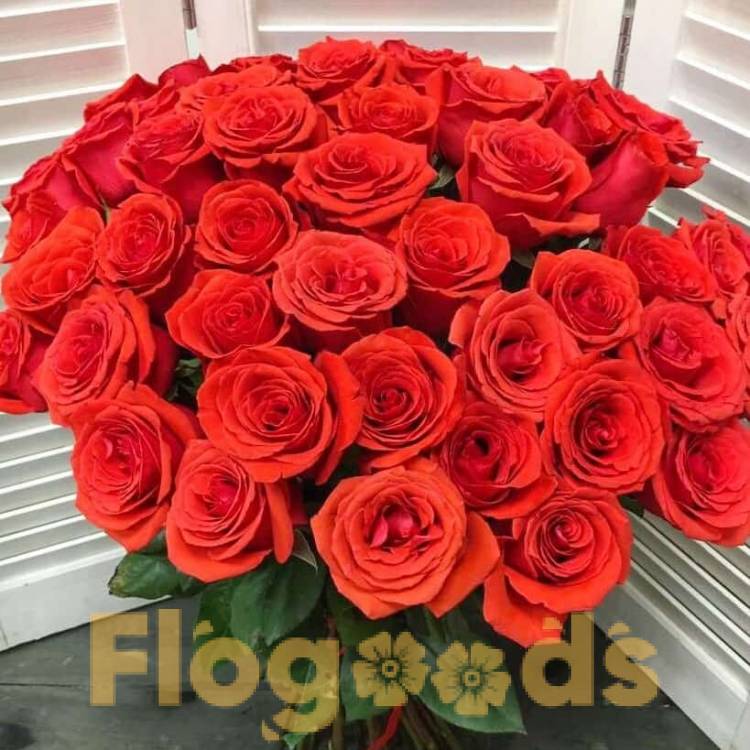 51 красная роза за 19 499 руб.
